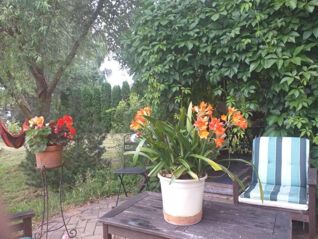 Guest House Pechersky & Sons Dreilini  Εξωτερικό φωτογραφία