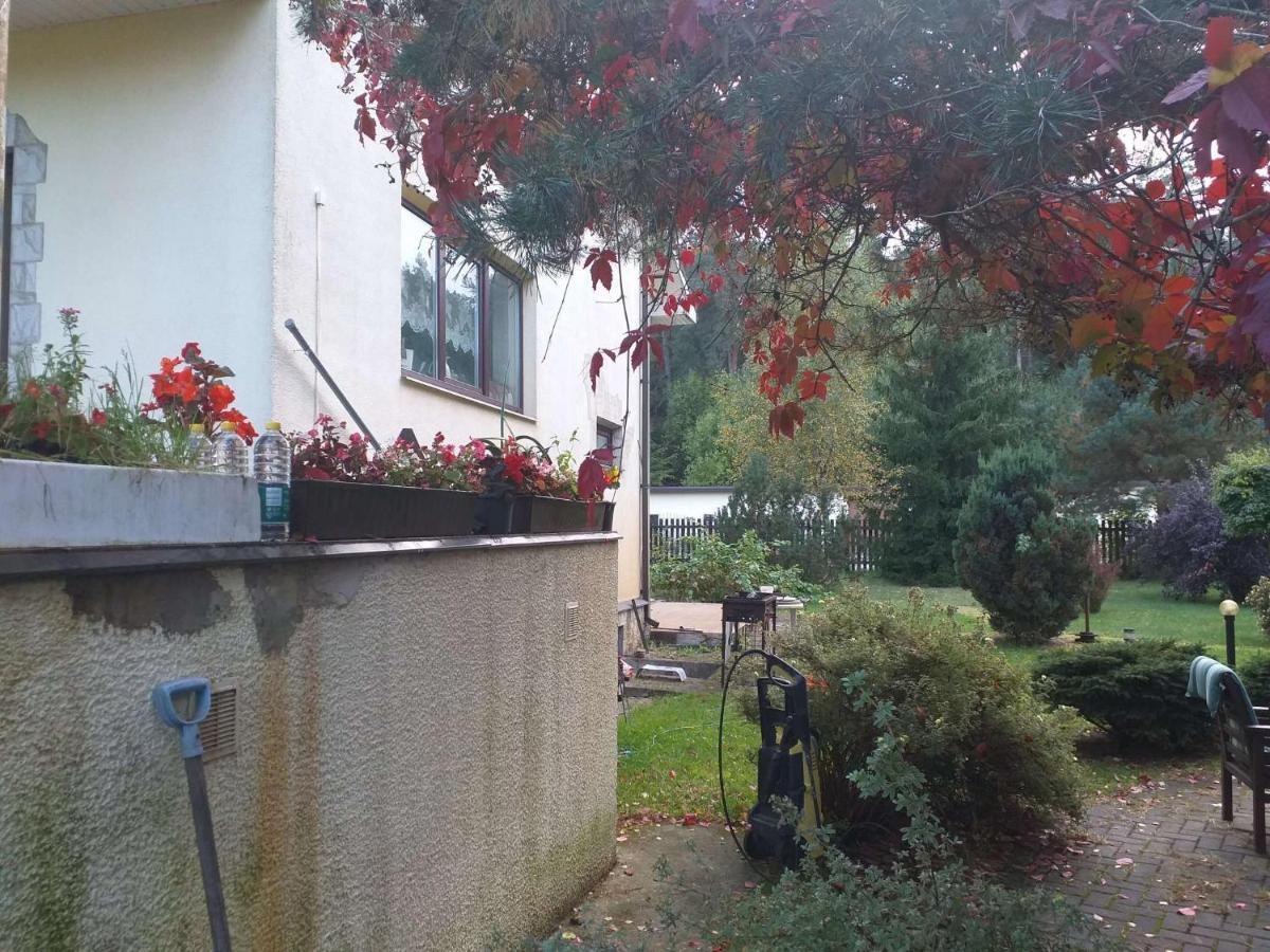 Guest House Pechersky & Sons Dreilini  Εξωτερικό φωτογραφία